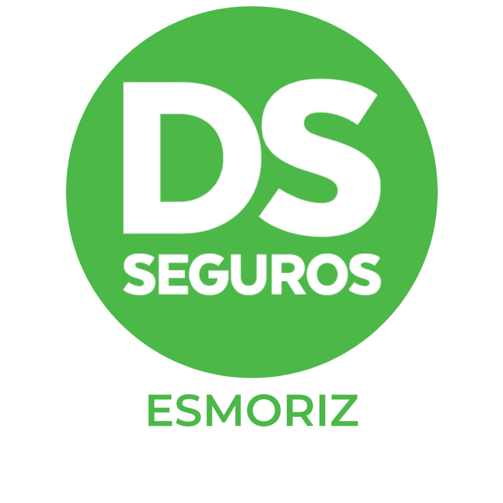 DS Seguros